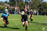 U6(4) R2 v Dragons_15