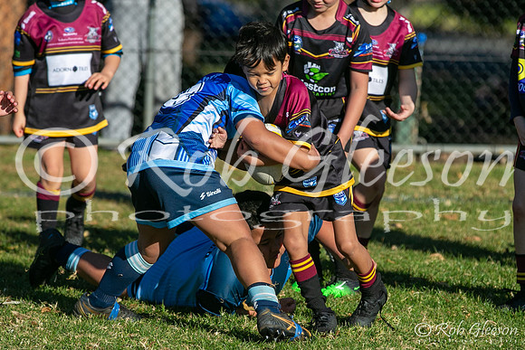 U7(2) R8 - Vs Cabramatta_012