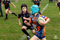U7(3) R7 v AST Tigers_2