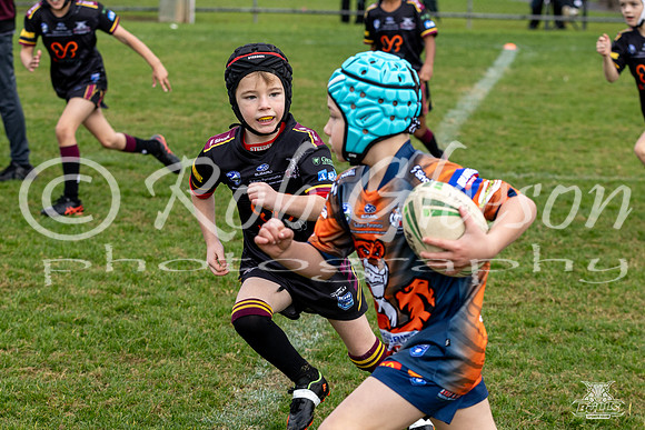 U7(3) R7 v AST Tigers_2