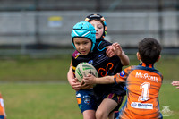 U7(3) R7 v AST Tigers_11