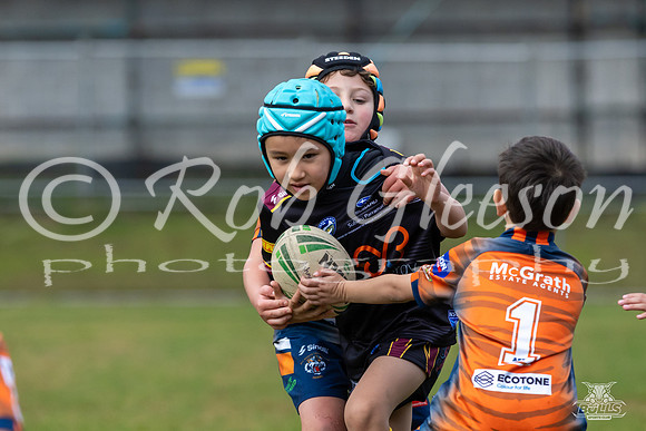 U7(3) R7 v AST Tigers_11
