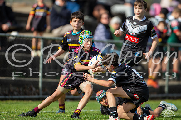 U13(2) R8 v Wenty_17