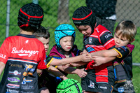 U6(1) R13 - v Kellyville_024