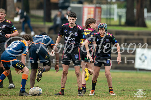 U14(3) R12 v Tigers_3