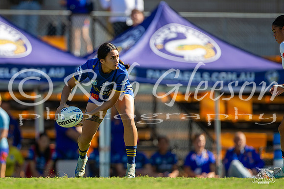 LFC GF - Parra v Roosters_41