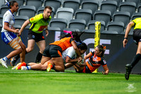 LFC - GF - Bulldogs v West Tigers_13