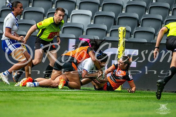 LFC - GF - Bulldogs v West Tigers_13