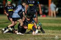 U11(1) R13 v Rouse Hill_15