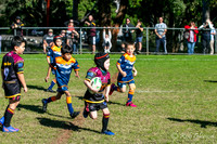 U7(3) R6 - Vs AST Tigers_002