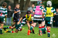 U10(2) R5 v Greystanes_5