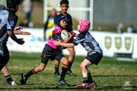 U11(1) R13 v Rouse Hill_13