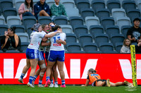 LFC - GF - Bulldogs v West Tigers_5