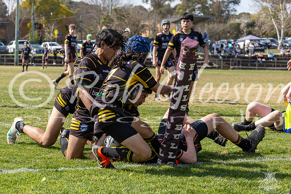 U15(2) R14 v Mounties_6