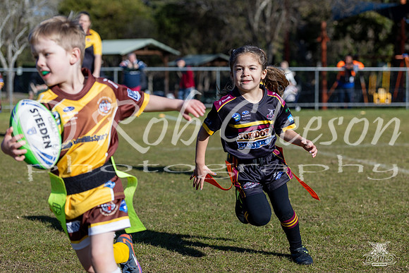 U6(3) R10 v Tigers_2