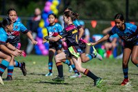 Tag U12(Gold) GF - Hills v Chesterhill_4