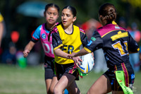 Tag U12(Gold) GF - Hills v Chesterhill_9