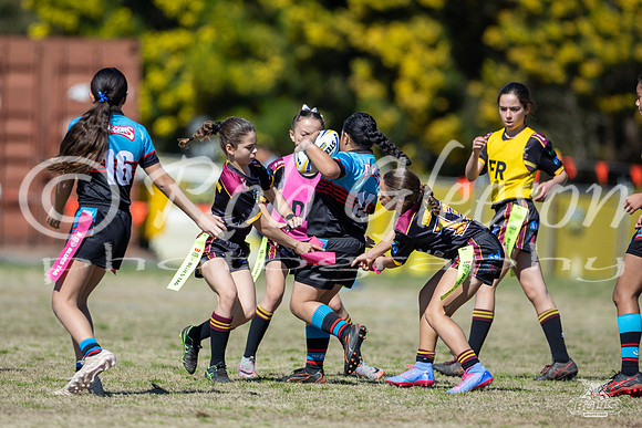 Tag U12(Gold) GF - Hills v Chesterhill_24