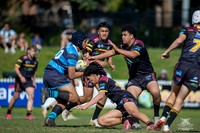 U15(1) GF - Hills v Cabra-16