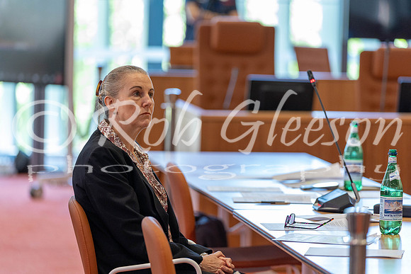 DCJ Mock Court - Phive-108