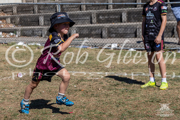 Hills Bulls - Mini Clinic Nov 2025-13