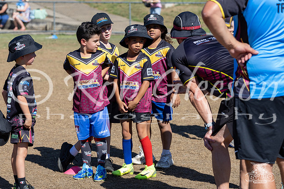 Hills Bulls - Mini Clinic Nov 2025-35
