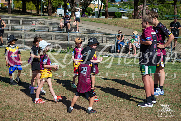 Hills Bulls - Mini Clinic Nov 2025-45