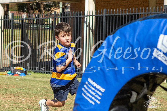 Hills Bulls - Mini Clinic Nov 2025-57