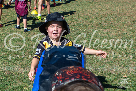 Hills Bulls - Mini Clinic Nov 2025-66