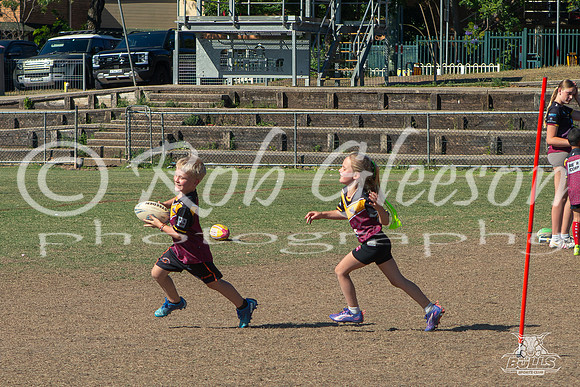 Hills Bulls - Mini Clinic Nov 2025-75