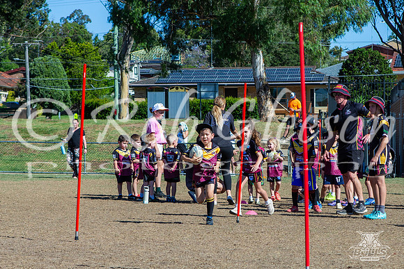 Hills Bulls - Mini Clinic Nov 2025-76