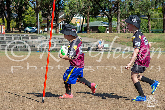Hills Bulls - Mini Clinic Nov 2025-79