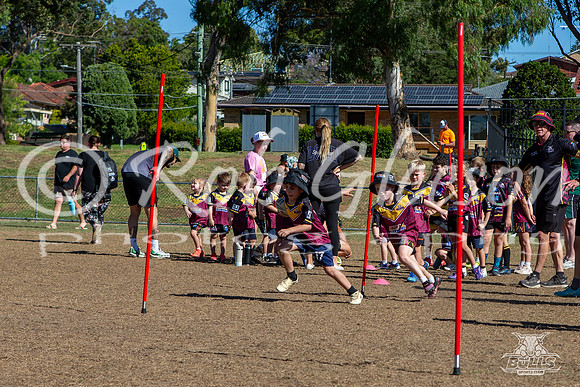 Hills Bulls - Mini Clinic Nov 2025-82