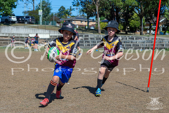 Hills Bulls - Mini Clinic Nov 2025-81