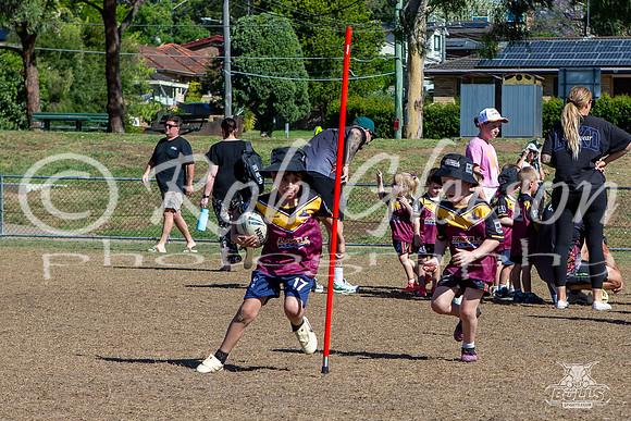 Hills Bulls - Mini Clinic Nov 2025-83