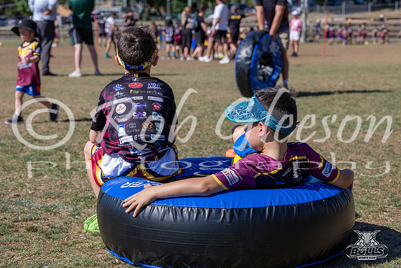 Hills Bulls - Mini Clinic Nov 2025-94