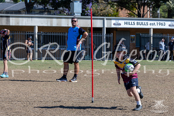 Hills Bulls - Mini Clinic Nov 2025-111
