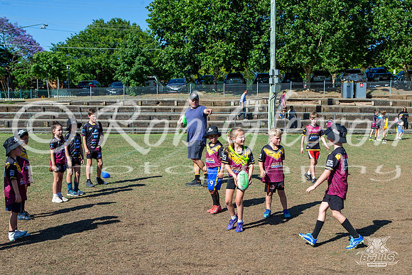 Hills Bulls - Mini Clinic Nov 2025-115