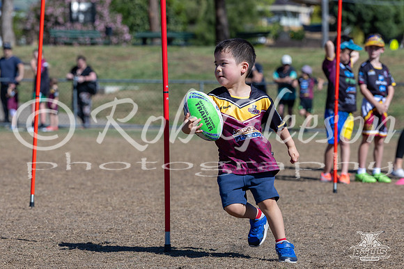 Hills Bulls - Mini Clinic Nov 2025-113
