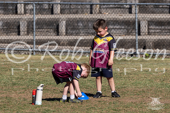 Hills Bulls - Mini Clinic Nov 2025-117