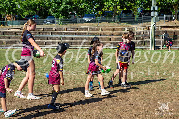 Hills Bulls - Mini Clinic Nov 2025-116