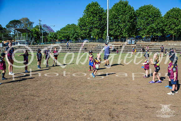 Hills Bulls - Mini Clinic Nov 2025-114