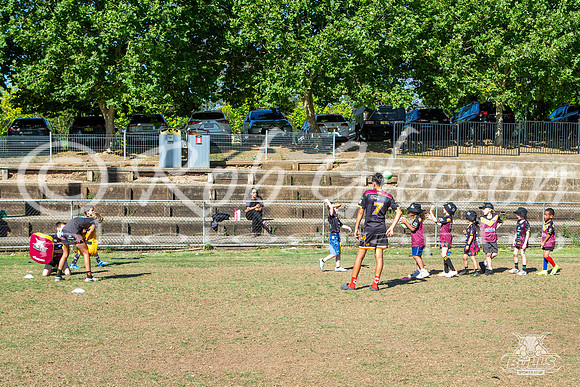 Hills Bulls - Mini Clinic Nov 2025-119