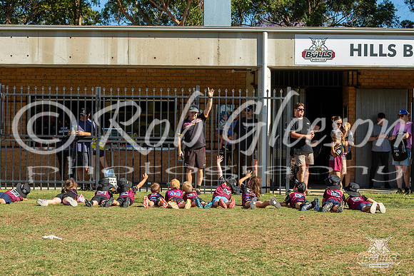 Hills Bulls - Mini Clinic Nov 2025-128