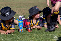Hills Bulls - Mini Clinic Nov 2025-124