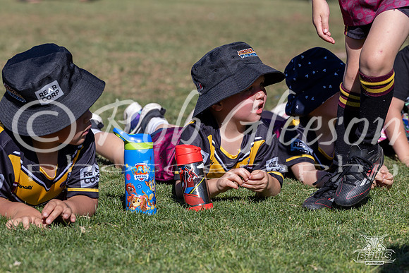 Hills Bulls - Mini Clinic Nov 2025-124