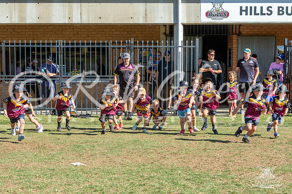 Hills Bulls - Mini Clinic Nov 2025-129