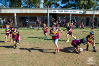 Hills Bulls - Mini Clinic Nov 2025-131