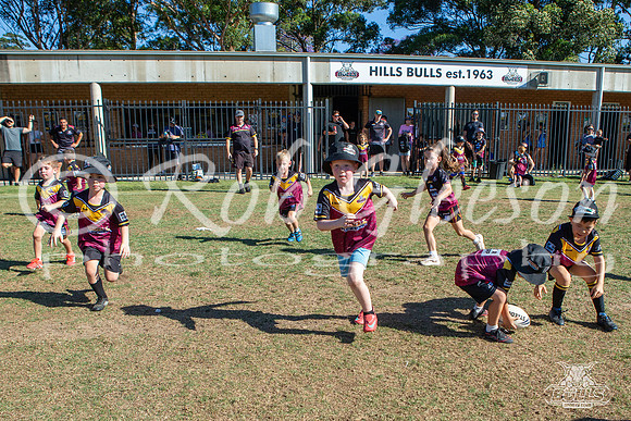 Hills Bulls - Mini Clinic Nov 2025-131