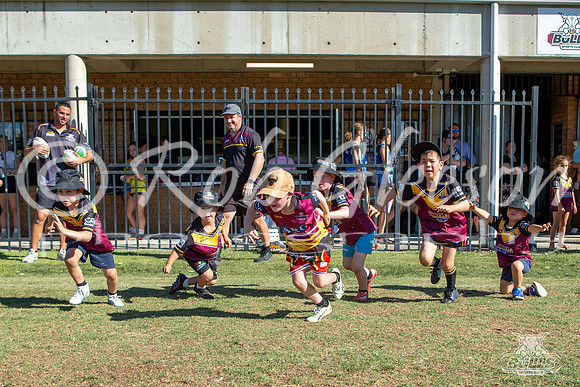 Hills Bulls - Mini Clinic Nov 2025-133
